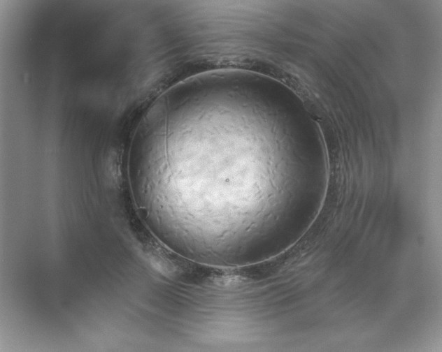 X0000076240695200609281140