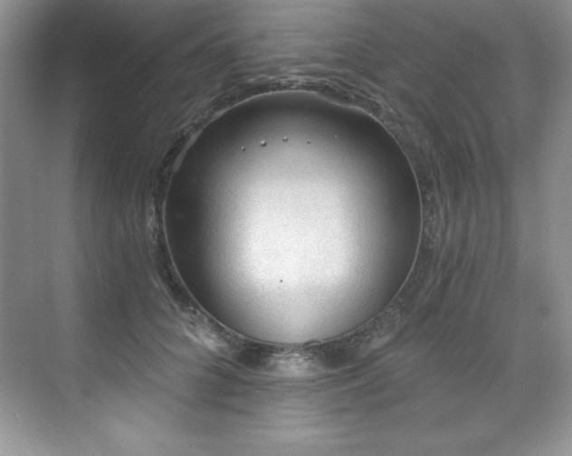 X0000076240704200609281140