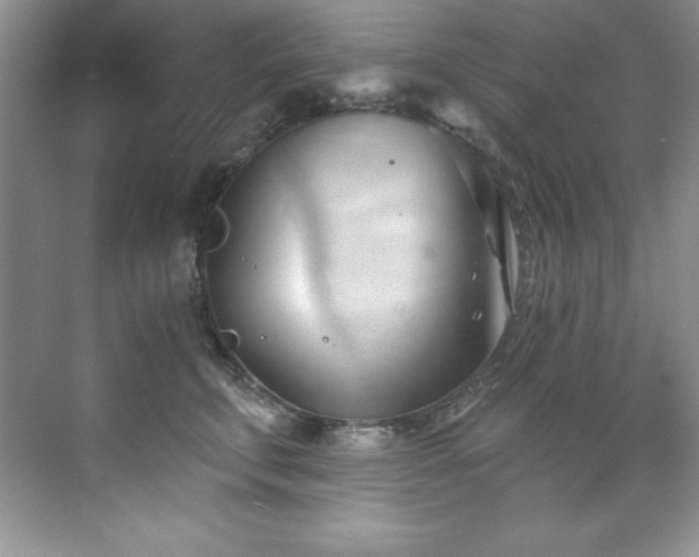 X0000076240711200609281140