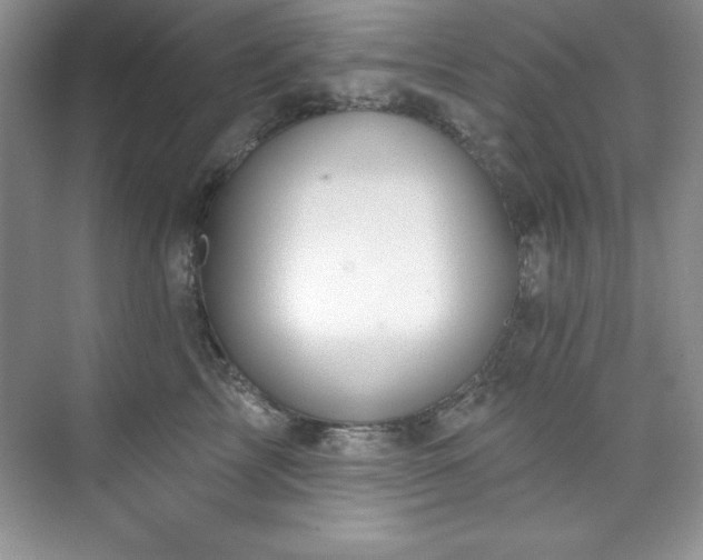 X0000076240713200609281140