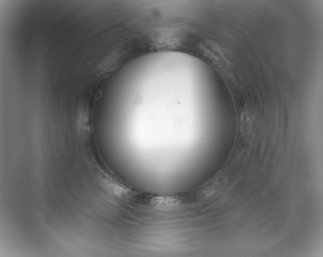 X0000076240714200609281140