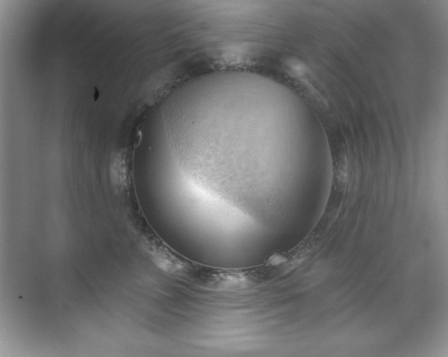 X0000076240715200609281140
