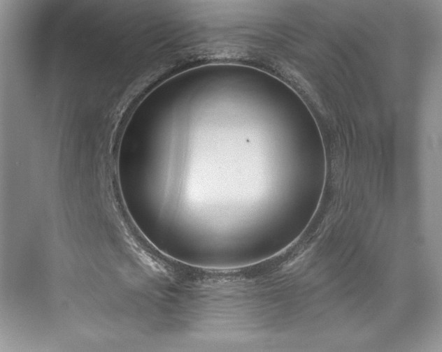 X0000076240721200609281139