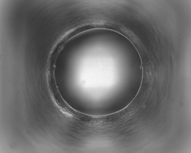 X0000076240728200609281139