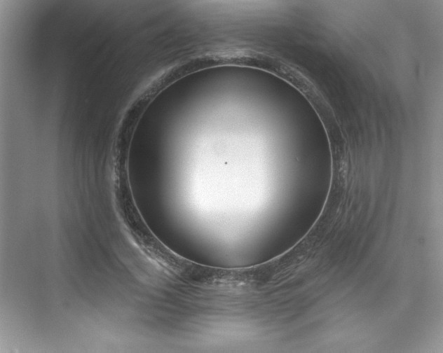 X0000076240732200609281139
