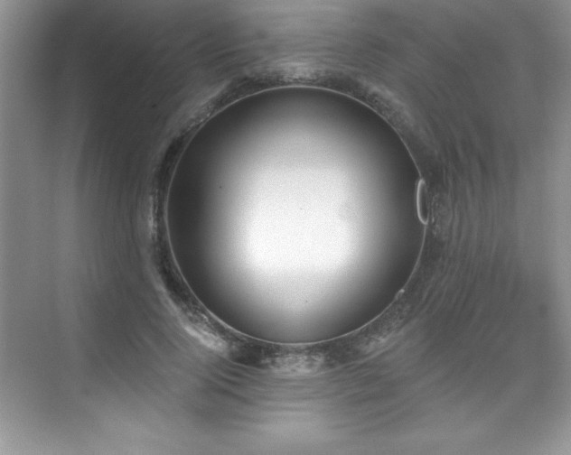 X0000076240740200609281139