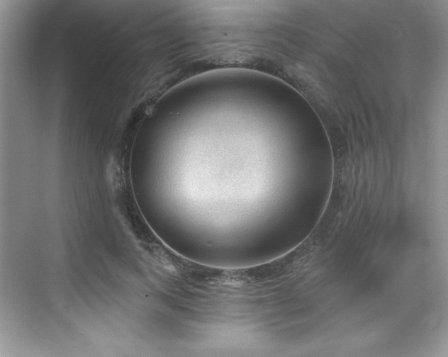 X0000076240743200609281139