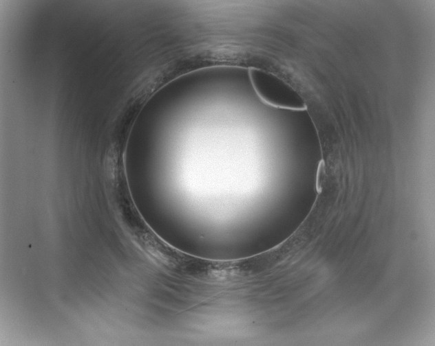 X0000076240744200609281139