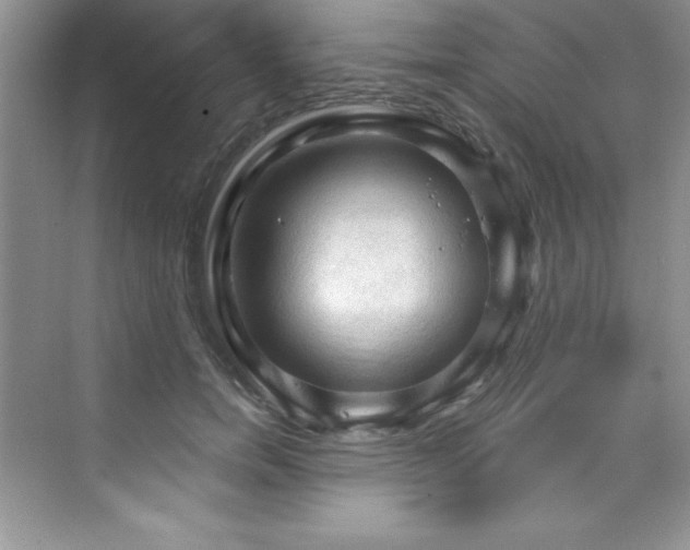 X0000076240750200609281140