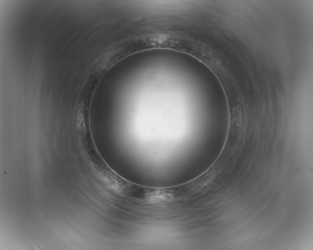 X0000076240754200609281140