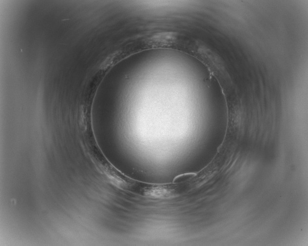 X0000076240759200609281140