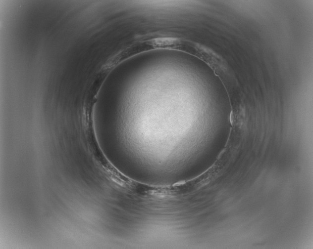 X0000076240763200609281140