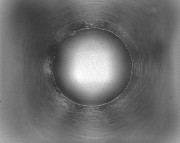 X0000076240770200609281139