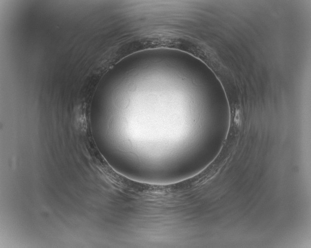 X0000076240771200609281139