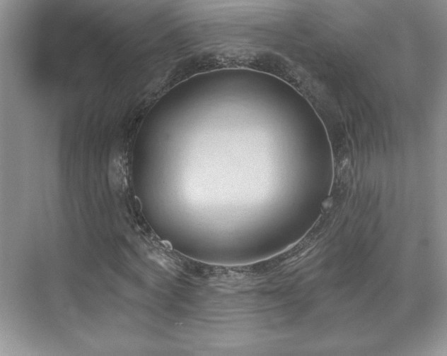 X0000076240772200609281139