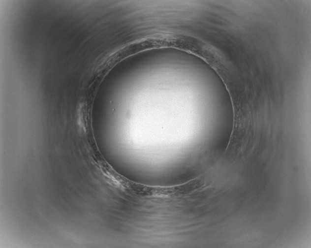 X0000076240773200609281139