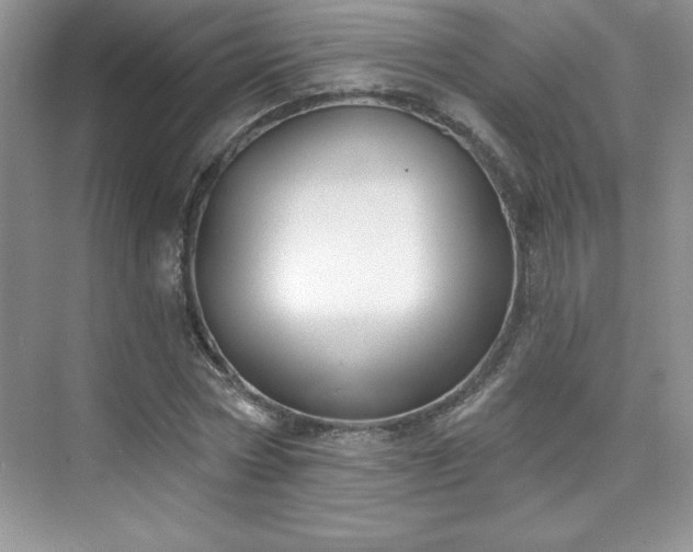 X0000076240778200609281139