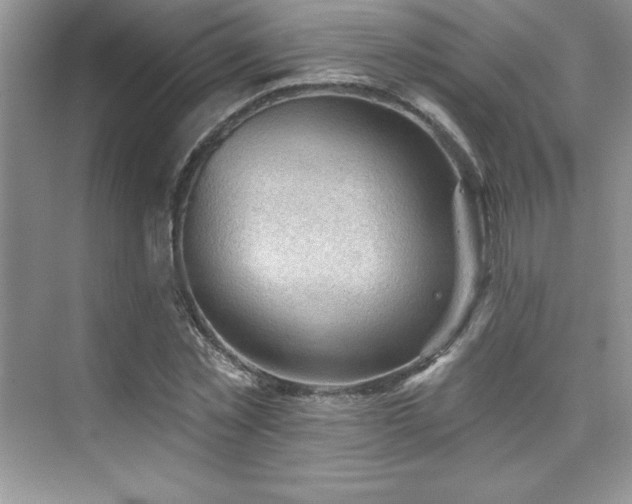 X0000076240781200609281139