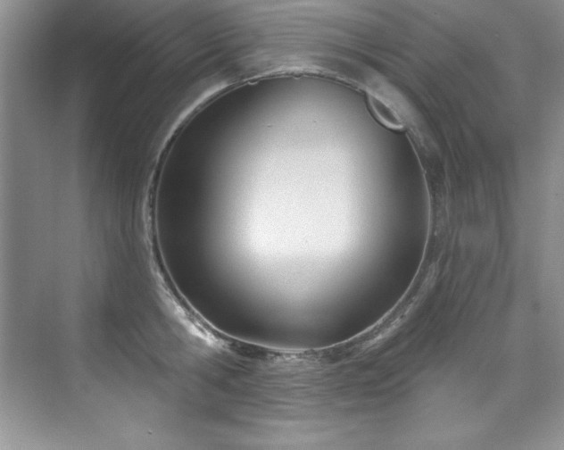 X0000076240806200609281138