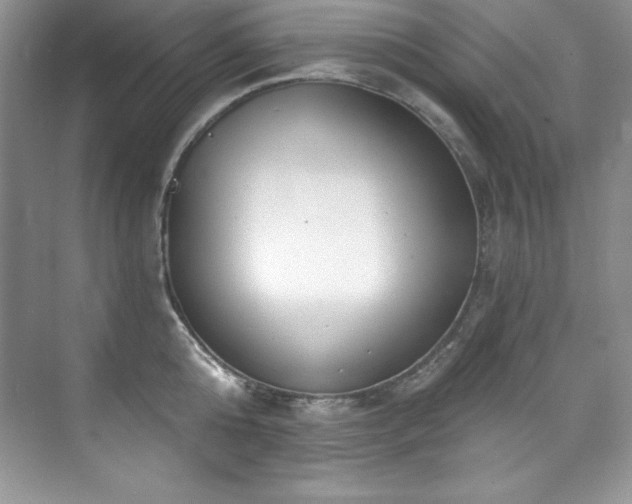 X0000076240808200609281138