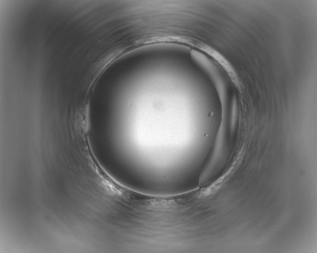 X0000076240809200609281138