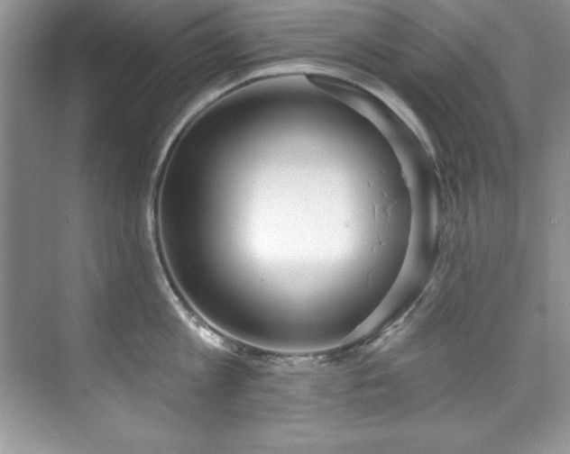 X0000076240813200609281138