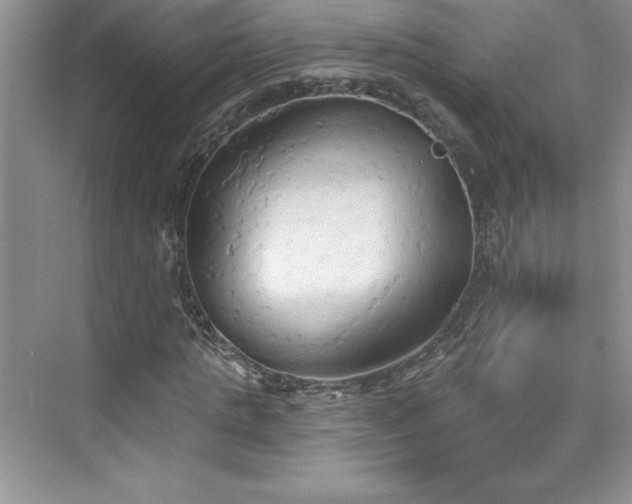 X0000076240821200609281137