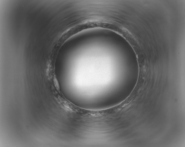 X0000076240822200609281137