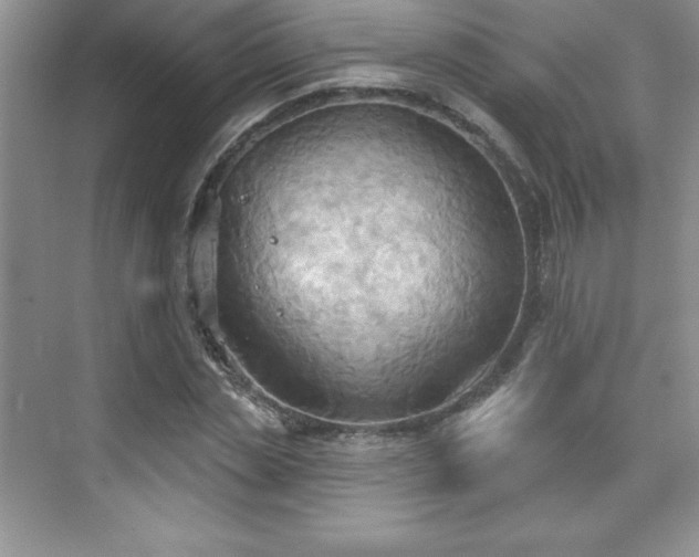 X0000076240829200609281138