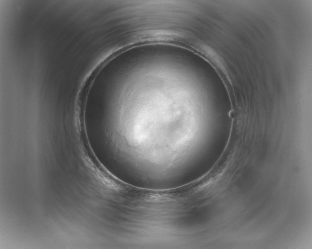 X0000076240835200609281138