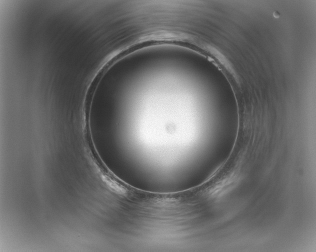 X0000076240837200609281138
