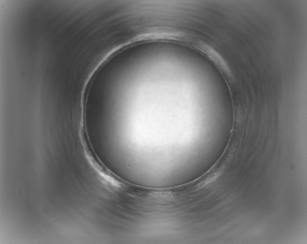 X0000076240844200609281138