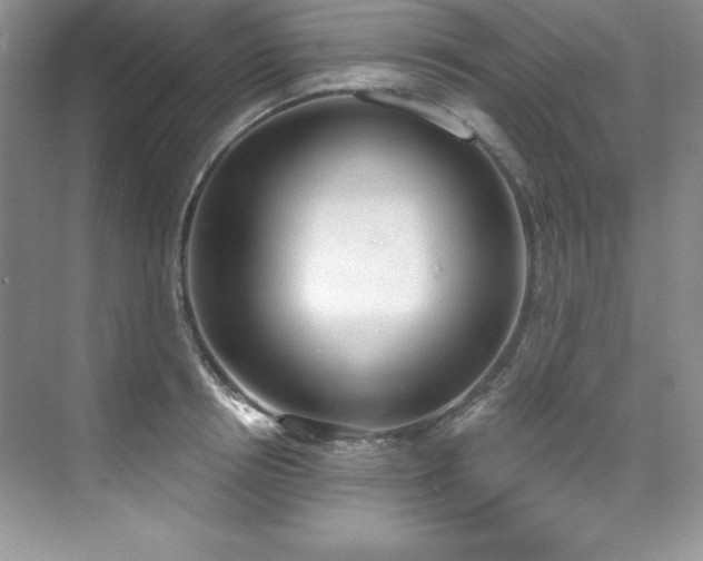 X0000076240850200609281138