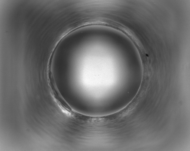 X0000076240858200609281138
