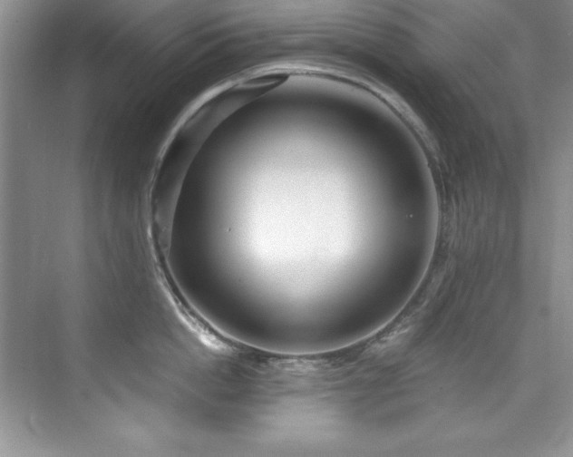 X0000076240862200609281138