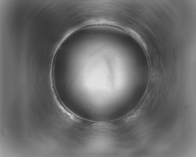 X0000076240863200609281138