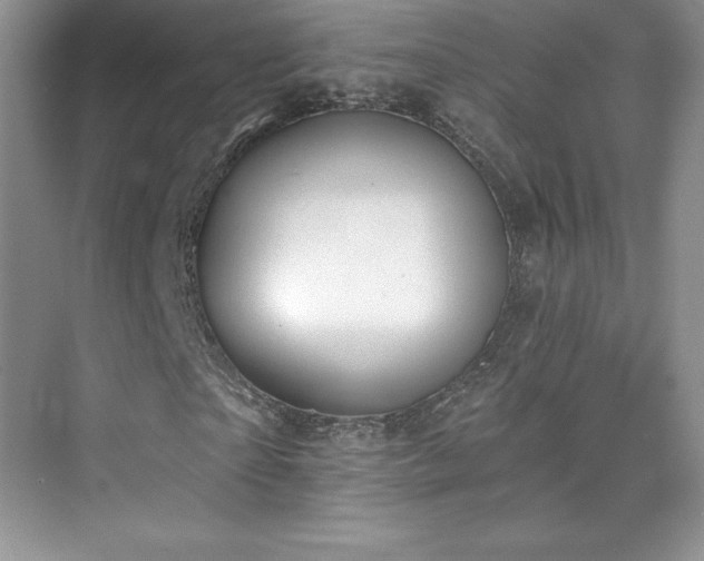 X0000076240865200609281137