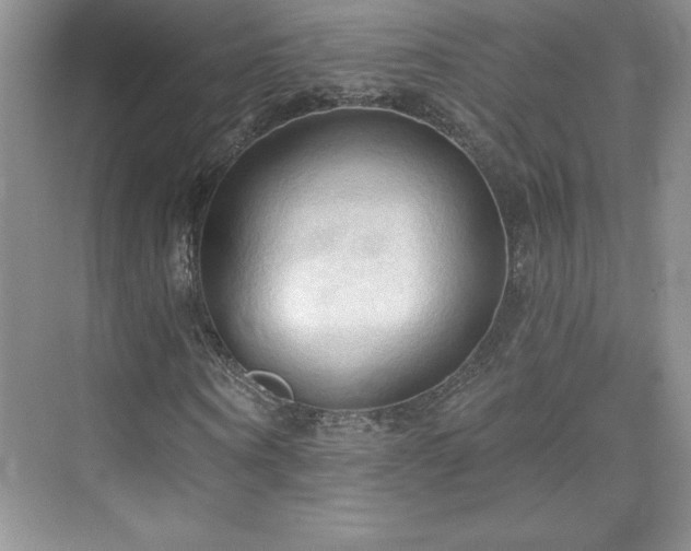 X0000076240866200609281137