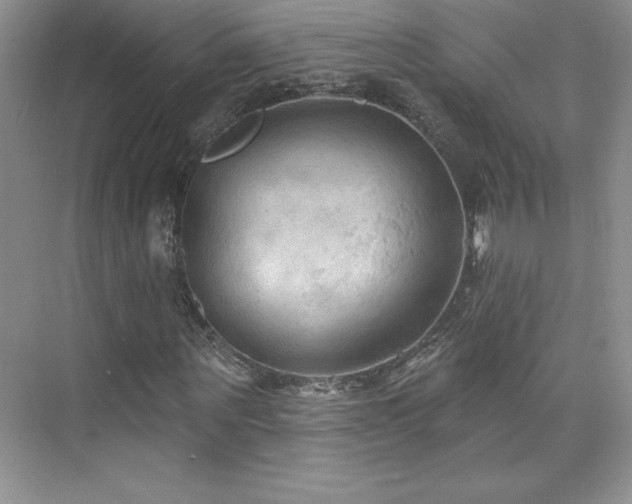 X0000076240867200609281137