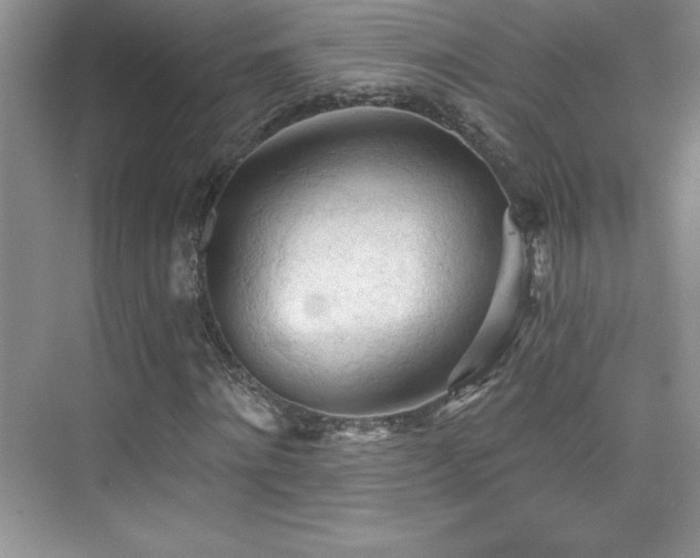 X0000076240868200609281137