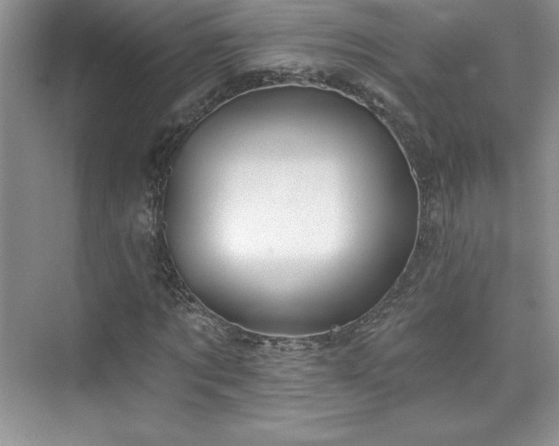 X0000076240869200609281137