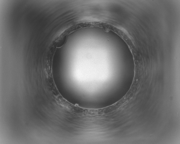 X0000076240871200609281137