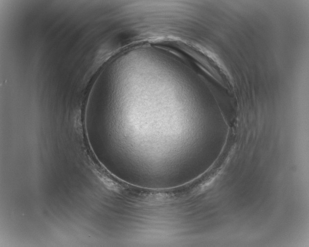 X0000076240881200609281137
