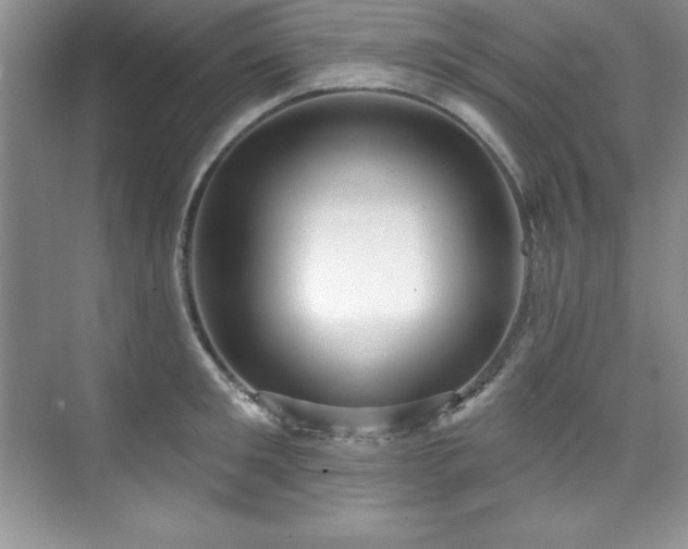 X0000076240901200609281137