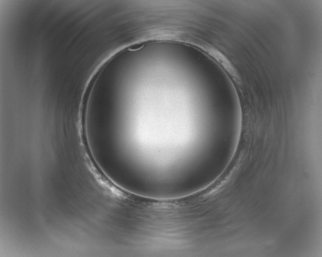 X0000076240904200609281137