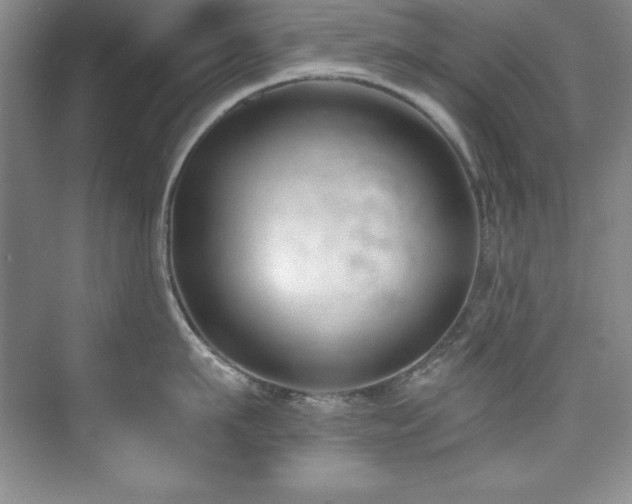 X0000076240911200609281137