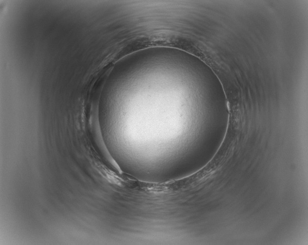 X0000076240916200609281136