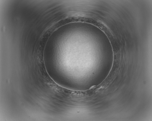 X0000076240919200609281136