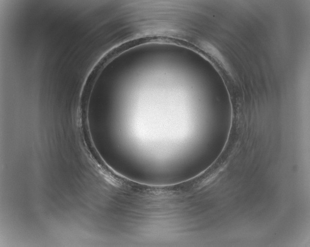 X0000076240924200609281136