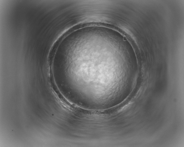 X0000076240925200609281136